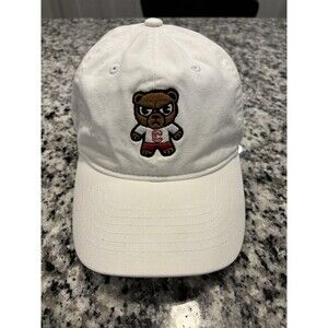 Cornell University Big Red Zephyr Rare Kanji Snap Back Hat Cap